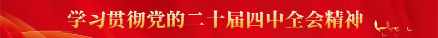 学习贯彻党的二十届四中全会精神