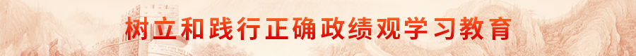 树立和践行正确政绩观学习教育